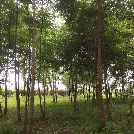 Hotel Kistrik Gudauta Luaran gambar
