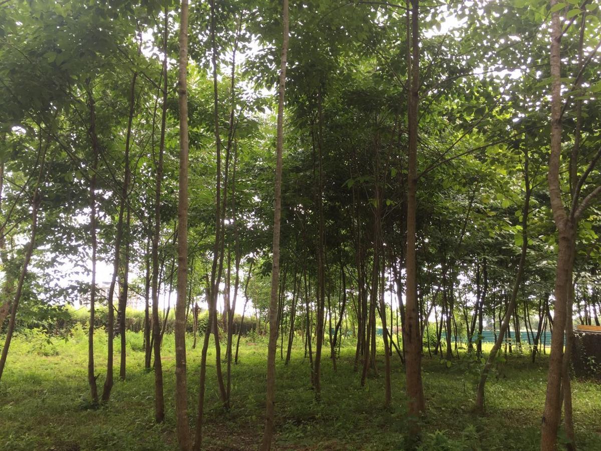 Hotel Kistrik Gudauta Luaran gambar